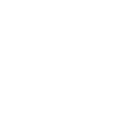 The Brain